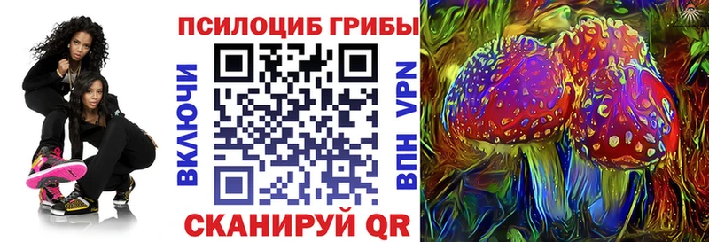 Псилоцибиновые грибы Psilocybe  Петрозаводск 
