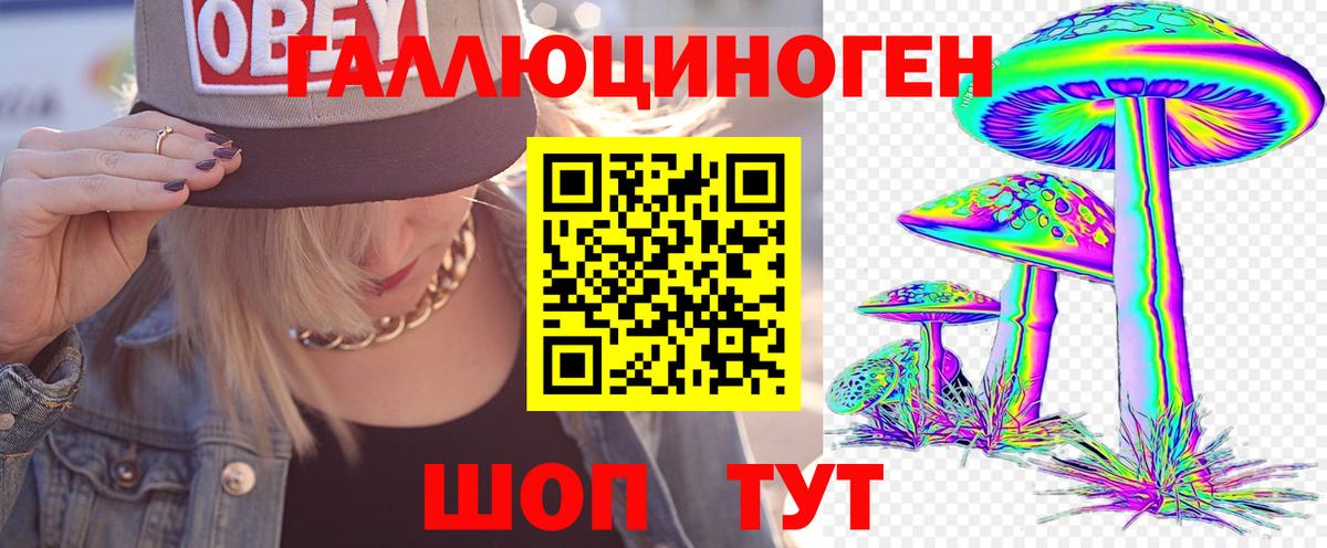 Псилоцибиновые грибы MAGIC MUSHROOMS Петрозаводск